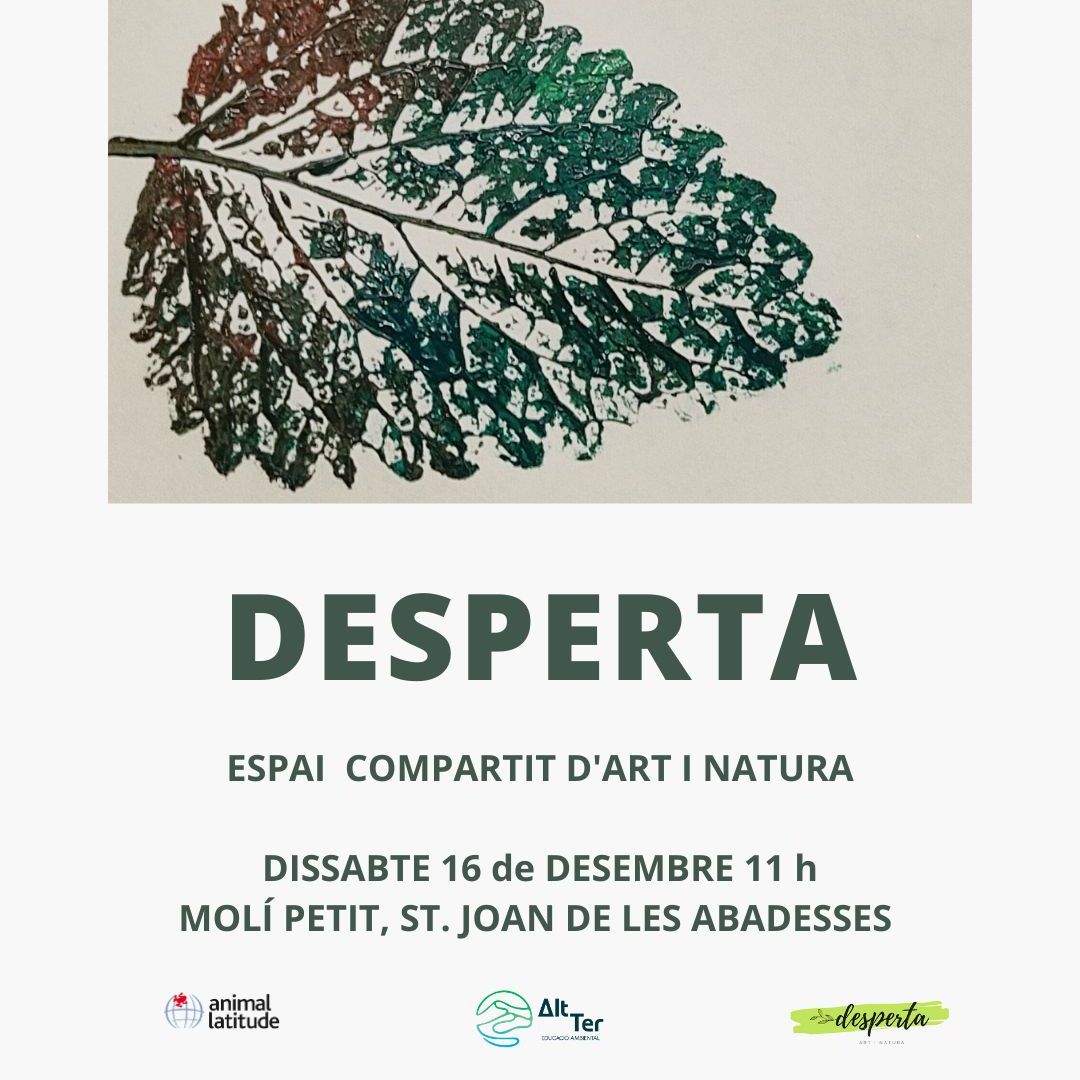 post IG Desperta 1
 6des animallatitude